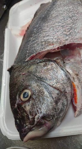 fb_img_1571724871461