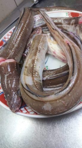 fb_img_1571724875123