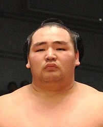 ＜大相撲＞鶴竜は腱板損傷で全治１カ月「手術はしない」