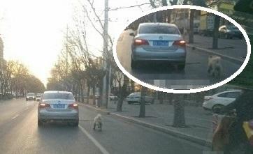 自動車のマフラーに繋いで犬の散歩、中国ネットは「これは虐待じゃないか」と怒りの声―香港メディア
