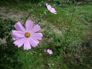 201110