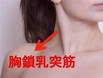 胸鎖乳突筋をほぐして小顔を手に入れよう！ | サンティドゥール武蔵小山/戸越銀座/目黒