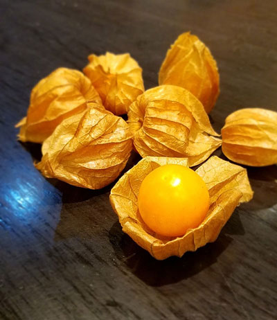 本日のおやつはゴールデンベリー 食用ほおずき 北海道札幌産の自然栽培無農薬無肥料 ほぼ毎日うさぎっこ通信 Webクリエイター 松島タツオ 札幌市在住