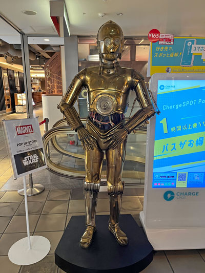 “カニチャーハン”