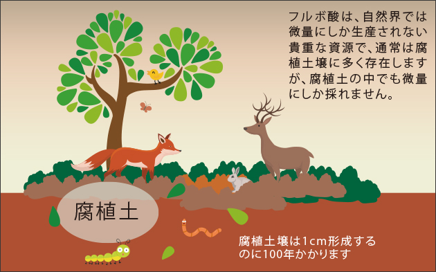 有機腐植物質フルボ酸 有機腐植物質フルボ酸