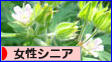 にほんブログ村 シニア日記ブログ 女性シニアへ