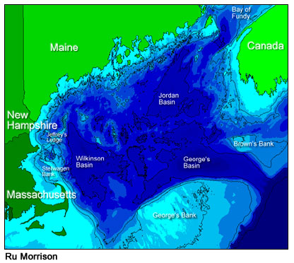 What are Phytoplankton? : Feature Articles