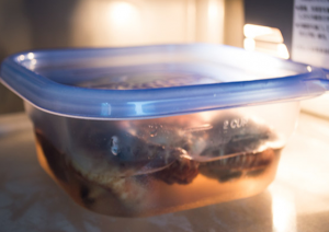 乾燥しいたけの戻し方08