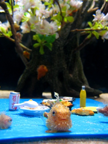 水族館で「魚が花見」?-桜やブルーシートを飾った水槽に「ナメダンゴ」