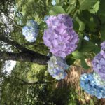 img_20180614_115236