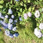 img_20180614_115345