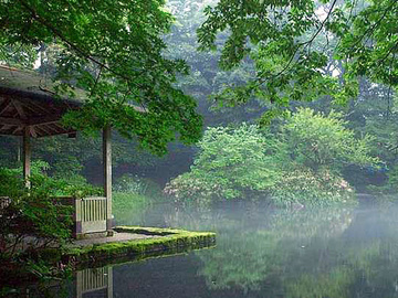 竹ヶ沢公園 静岡 伊豆 箱根 河口湖の観光 温泉