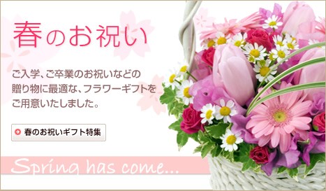 ★ -*-*-インターネット花キューピット-*-*- ★