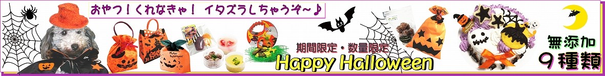 犬,犬用,ハロウィン,イベント,期間限定,スイーツ,わんちゃん,HALLOWEEN,栄養,デザート,フルーツ,野菜,秋,オフ会，セット，デザート，おやつ，無添加．帝塚山，WANBANA,ワンバナ