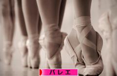 にほんブログ村 演劇・ダンスブログ バレエへ