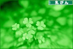 にほんブログ村 病気ブログ 乳がんへ