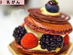 にほんブログ村 病気ブログ 乳がんへ