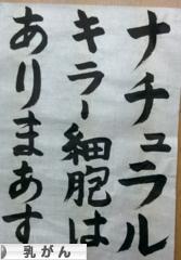 にほんブログ村 病気ブログ 乳がんへ