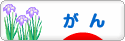 にほんブログ村 病気ブログ がん・腫瘍へ