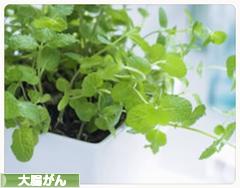 にほんブログ村 病気ブログ 大腸がんへ