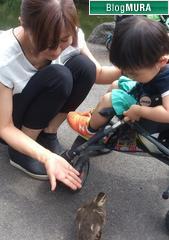 にほんブログ村 病気ブログ 白血病へ