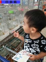 にほんブログ村 病気ブログ 白血病へ