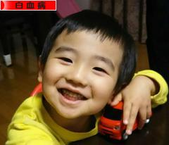 にほんブログ村 病気ブログ 白血病へ