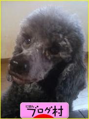 にほんブログ村 病気ブログへ