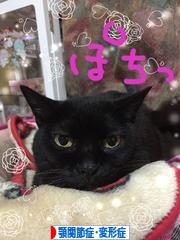 にほんブログ村 病気ブログ 顎関節症・顎変形症へ