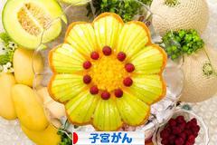 にほんブログ村 病気ブログ 子宮がんへ