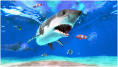 serenescreen marine aquarium 3 keycode free