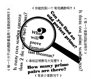 “数学依旧是我最喜欢的一门课!”_新浪众测