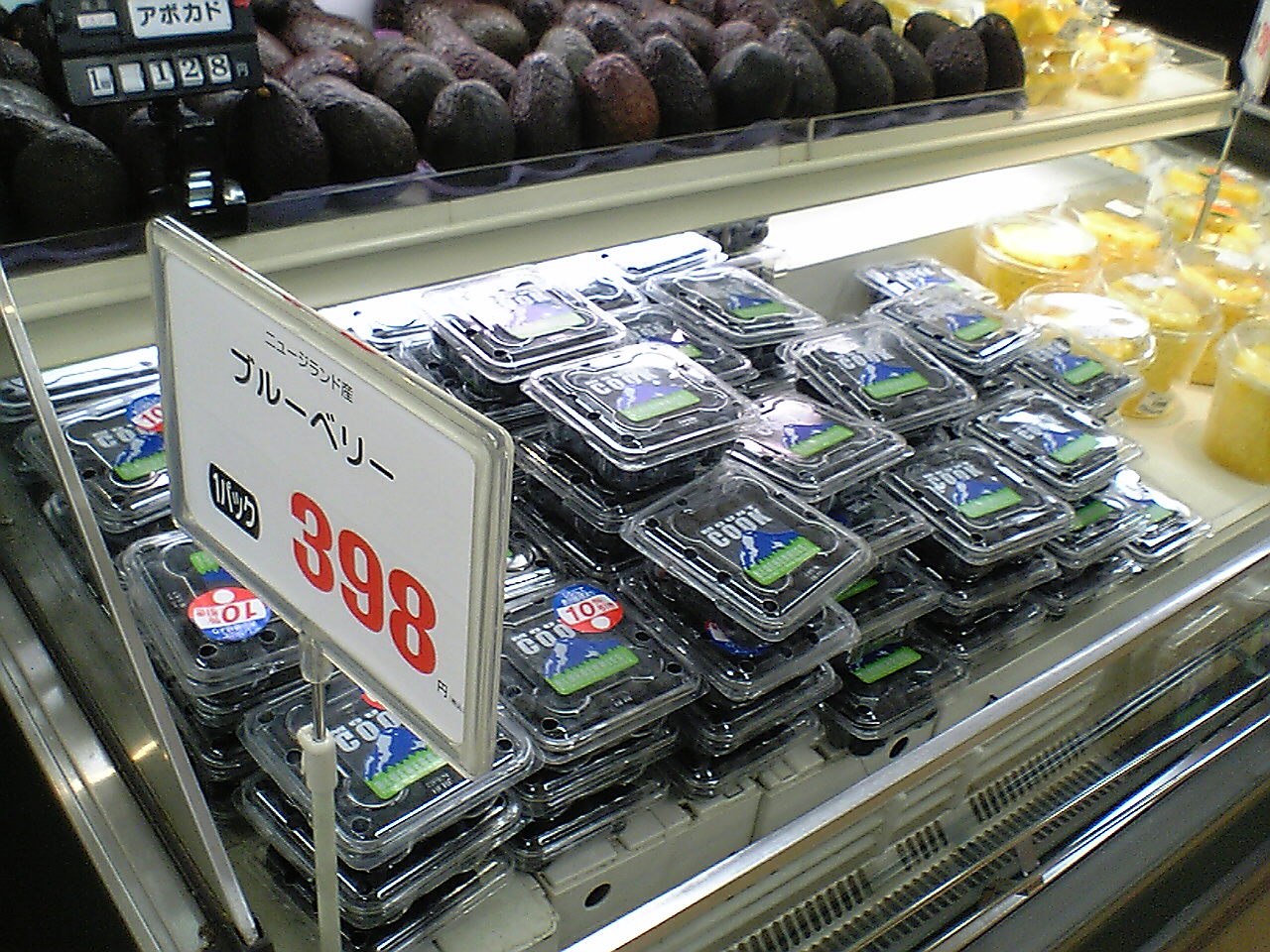 ブルーベリー発見!!