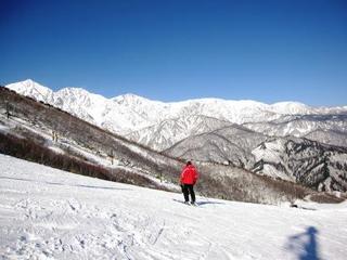 2011.12.14.JPG