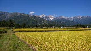 2011.9.27.JPG