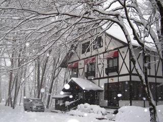 2012.3.25.JPG