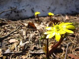 2012.4.21.JPG
