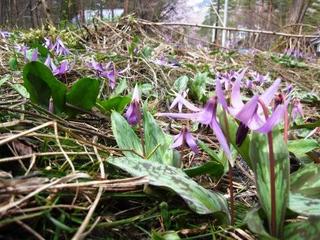 2012.5.1.JPG