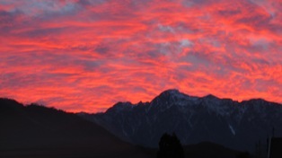 goryuu_2010.10.29.JPG