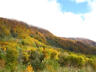 othikra_2010.10.28.JPG