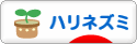 にほんブログ村 小動物ブログ ハリネズミへ