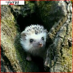 にほんブログ村 小動物ブログ ハリネズミへ