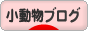 にほんブログ村 小動物ブログへ