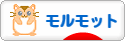にほんブログ村 小動物ブログ モルモットへ