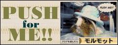 にほんブログ村 小動物ブログ モルモットへ