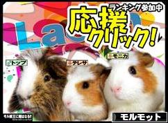にほんブログ村 小動物ブログ モルモットへ