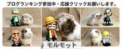 にほんブログ村 小動物ブログ モルモットへ