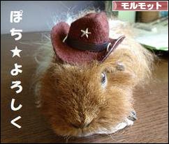 にほんブログ村 小動物ブログ モルモットへ