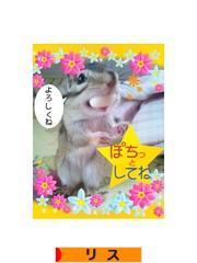 にほんブログ村 小動物ブログ リスへ