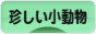 にほんブログ村 小動物ブログ 珍しい小動物へ